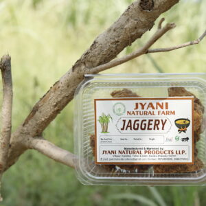 Organic Jaggery (Gud) – 1 Kg
