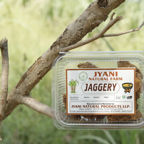 Organic Jaggery (Gud) – 1 Kg