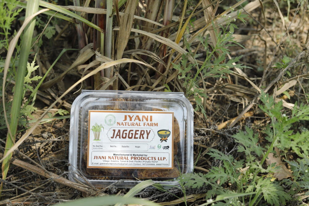 Organic Jaggery (Gud) – 1 Kg