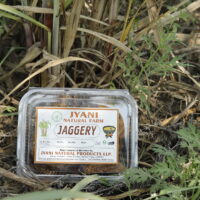 Organic Jaggery (Gud) – 1 Kg