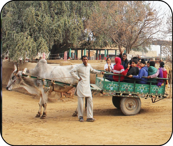 WhatsApp Image 2025-08-20 at 6.47.35 PM