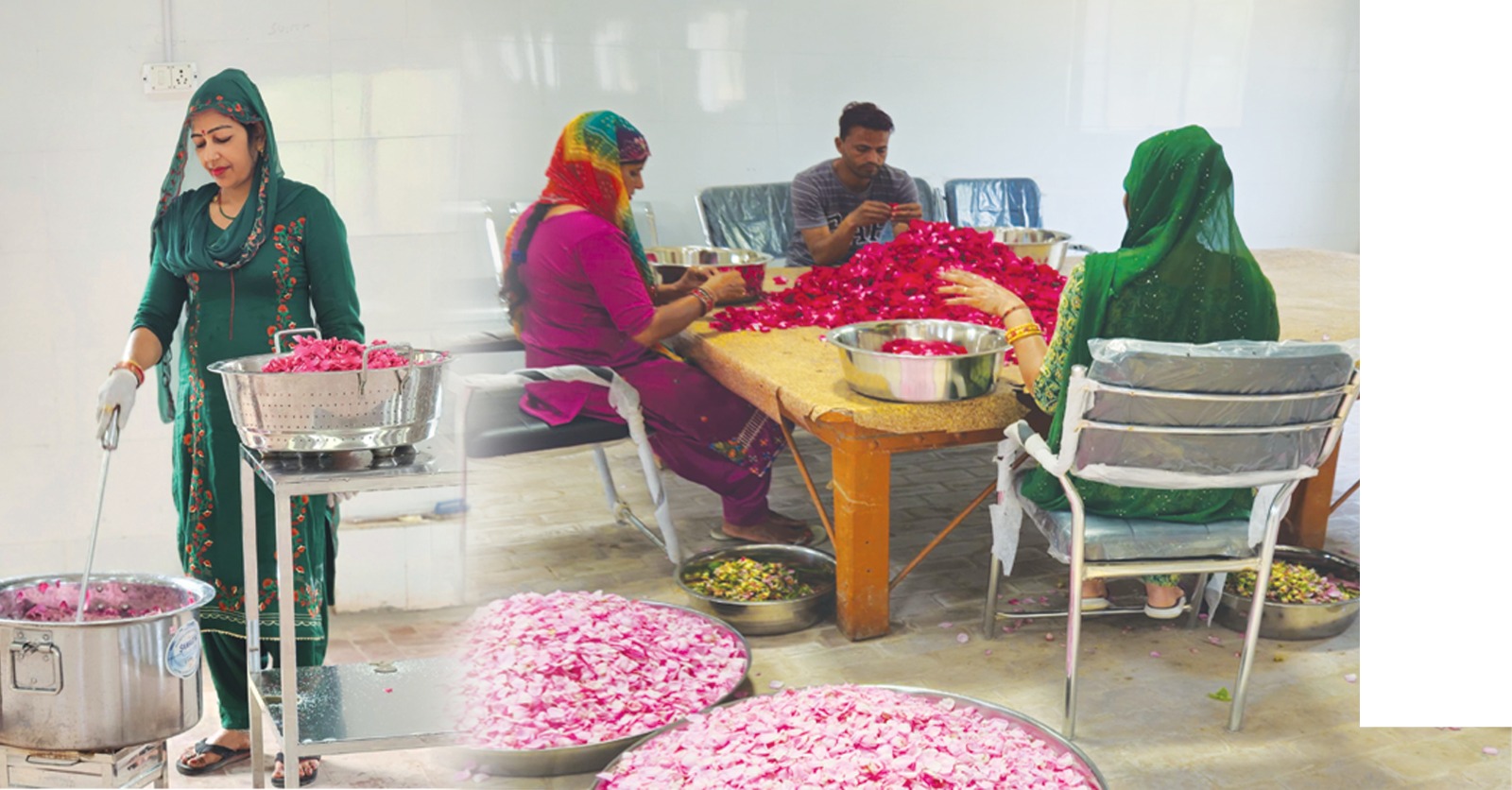 WhatsApp Image 2025-08-20 at 6.48.39 PM